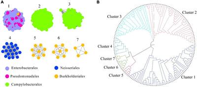 Abundance of Lipopolysaccharide Heptosyltransferase I in Human Gut Microbiome and Its Association With Cardiovascular Disease and Liver Cirrhosis